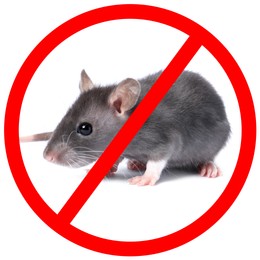 Image of Little rat with red prohibition sign on white background. Pest control