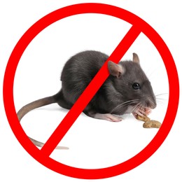 Image of Little rat with red prohibition sign on white background. Pest control