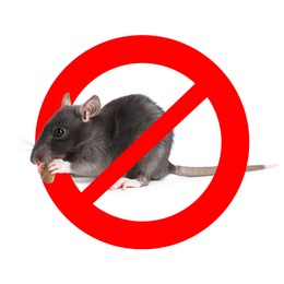 Image of Little rat with red prohibition sign on white background. Pest control
