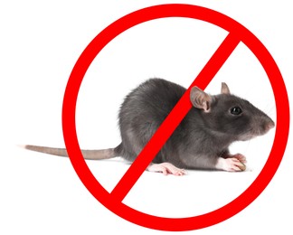 Image of Little rat with red prohibition sign on white background. Pest control