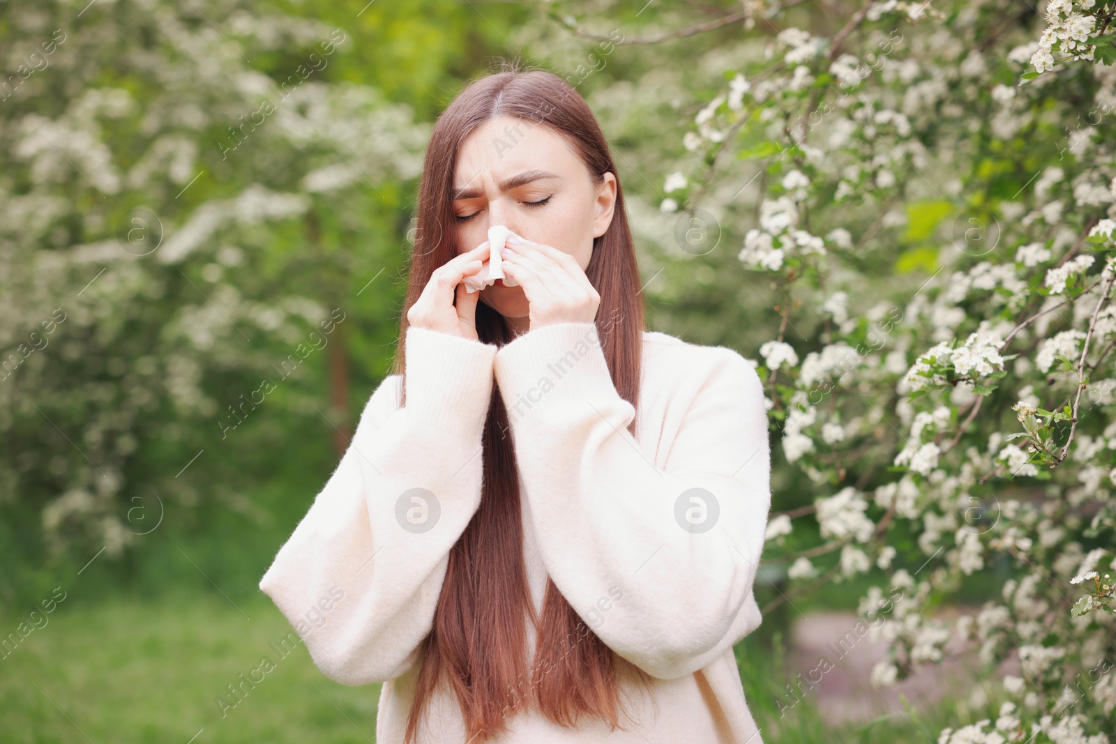 Woman with paper tissue suffering from seasonal pollen allergy near blossoming shrub on spring day Photo of Woman with paper tissue suffering from seasonal pollen allergy near blossoming shrub on spring day