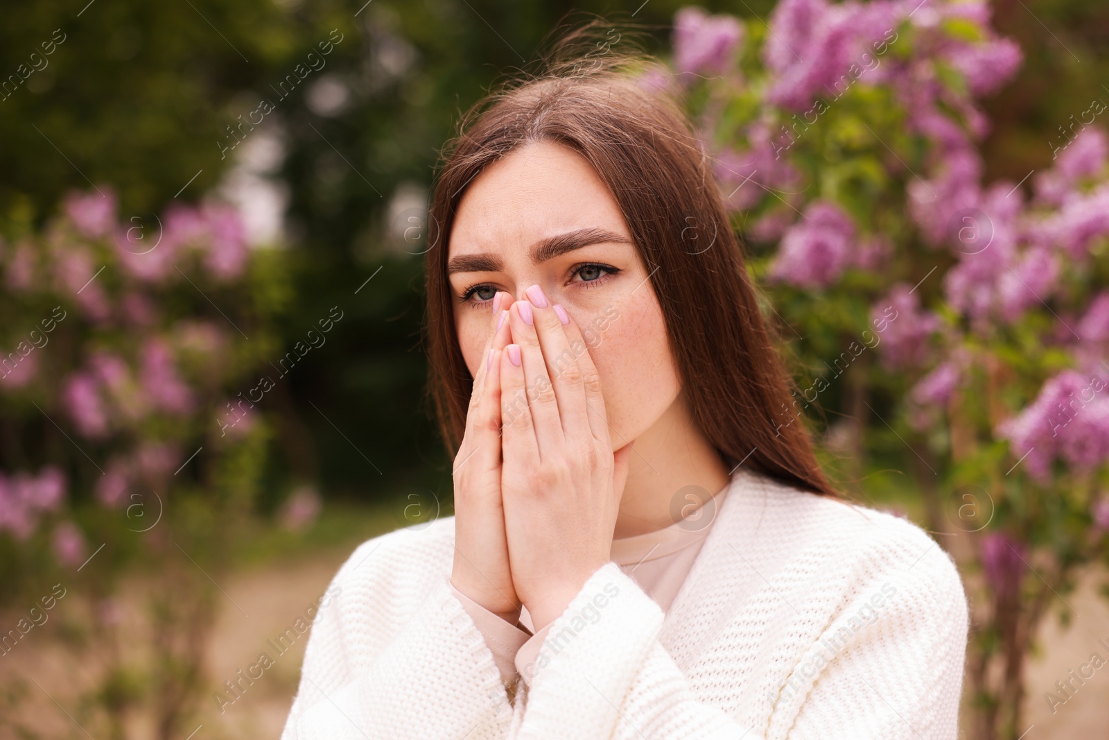 Woman suffering from seasonal pollen allergy near blossoming shrub on spring day Photo of Woman suffering from seasonal pollen allergy near blossoming shrub on spring day