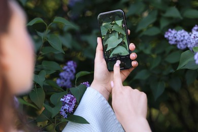 Photo of Woman using plant recognition application on smartphone outdoors, closeup