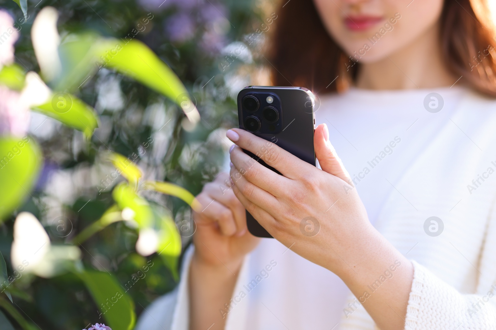 Woman using plant recognition application on smartphone outdoors, selective focus Photo of Woman using plant recognition application on smartphone outdoors, selective focus