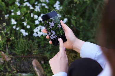 Photo of Woman using plant recognition application on smartphone outdoors, closeup