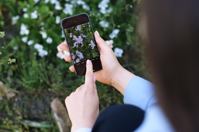Photo of Woman using plant recognition application on smartphone outdoors, closeup