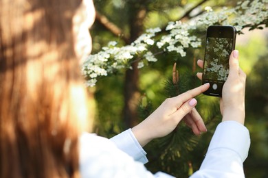 Photo of Woman using plant recognition application on smartphone outdoors, closeup