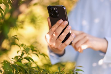 Photo of Woman using plant recognition application on smartphone outdoors, closeup