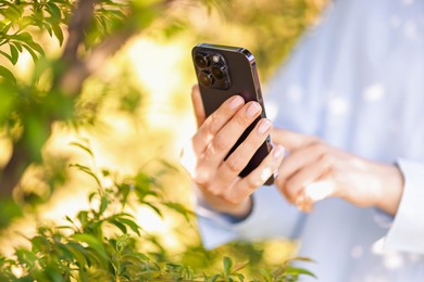 Photo of Woman using plant recognition application on smartphone outdoors, closeup