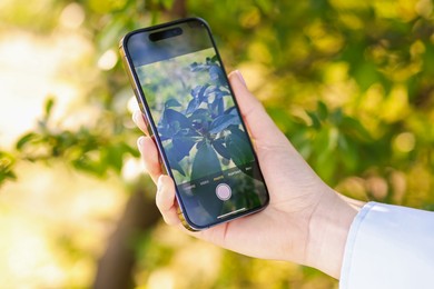 Photo of Woman using plant recognition application on smartphone outdoors, closeup