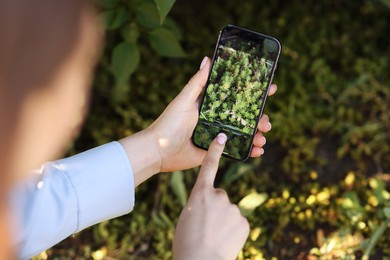 Photo of Woman using plant recognition application on smartphone outdoors, closeup