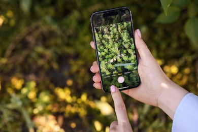 Photo of Woman using plant recognition application on smartphone outdoors, closeup. Space for text