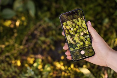 Photo of Woman using plant recognition application on smartphone outdoors, closeup. Space for text