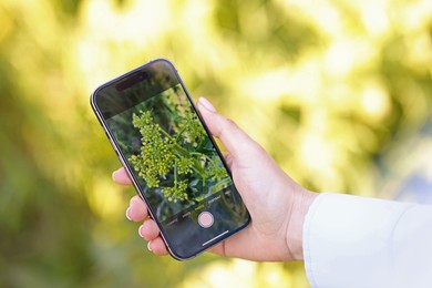 Photo of Woman using plant recognition application on smartphone outdoors, closeup