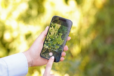 Photo of Woman using plant recognition application on smartphone outdoors, closeup