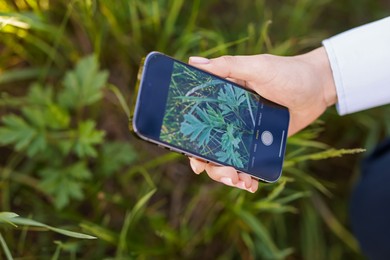 Photo of Woman using plant recognition application on smartphone outdoors, closeup