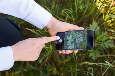 Photo of Woman using plant recognition application on smartphone outdoors, closeup