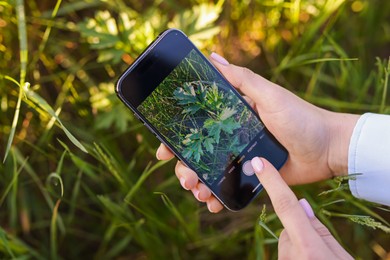 Photo of Woman using plant recognition application on smartphone outdoors, closeup