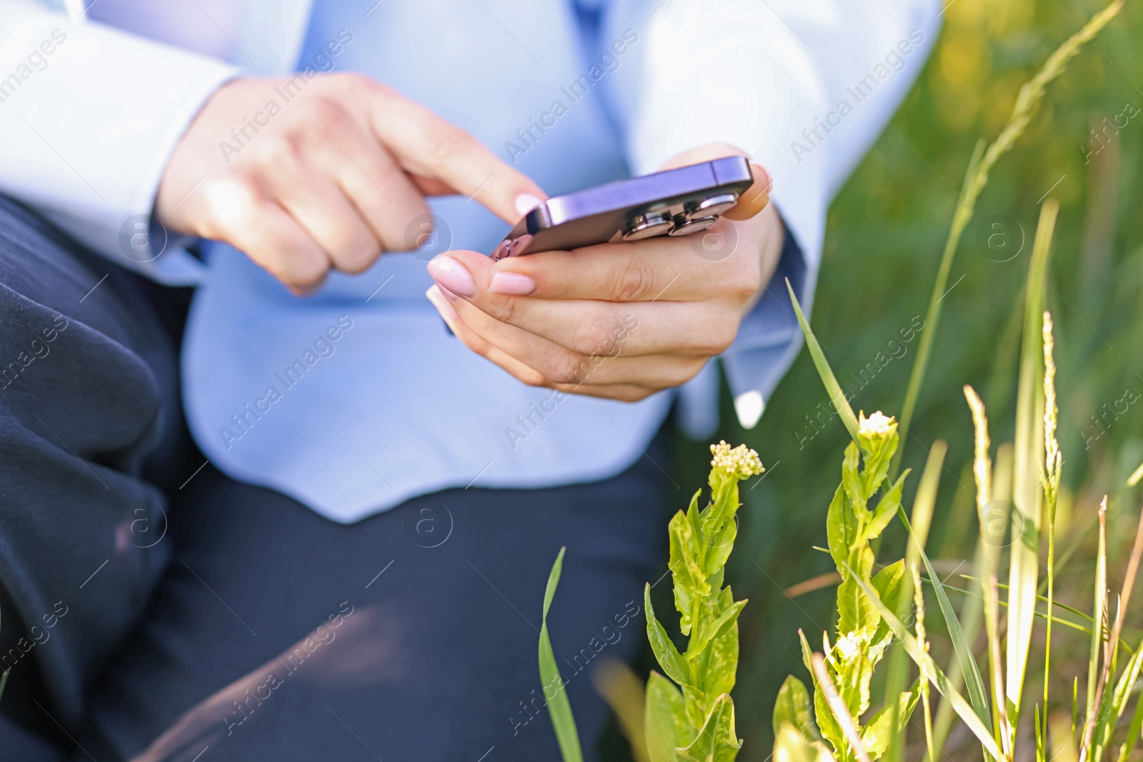 Woman using plant recognition application on smartphone outdoors, closeup Photo of Woman using plant recognition application on smartphone outdoors, closeup