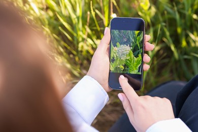 Photo of Woman using plant recognition application on smartphone outdoors, closeup
