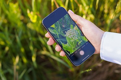 Photo of Woman using plant recognition application on smartphone outdoors, closeup