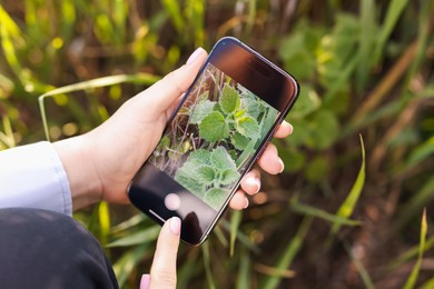 Photo of Woman using plant recognition application on smartphone outdoors, closeup