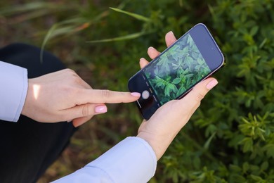 Photo of Woman using plant recognition application on smartphone outdoors, closeup