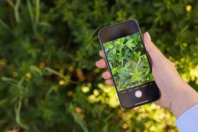 Photo of Woman using plant recognition application on smartphone outdoors, closeup. Space for text