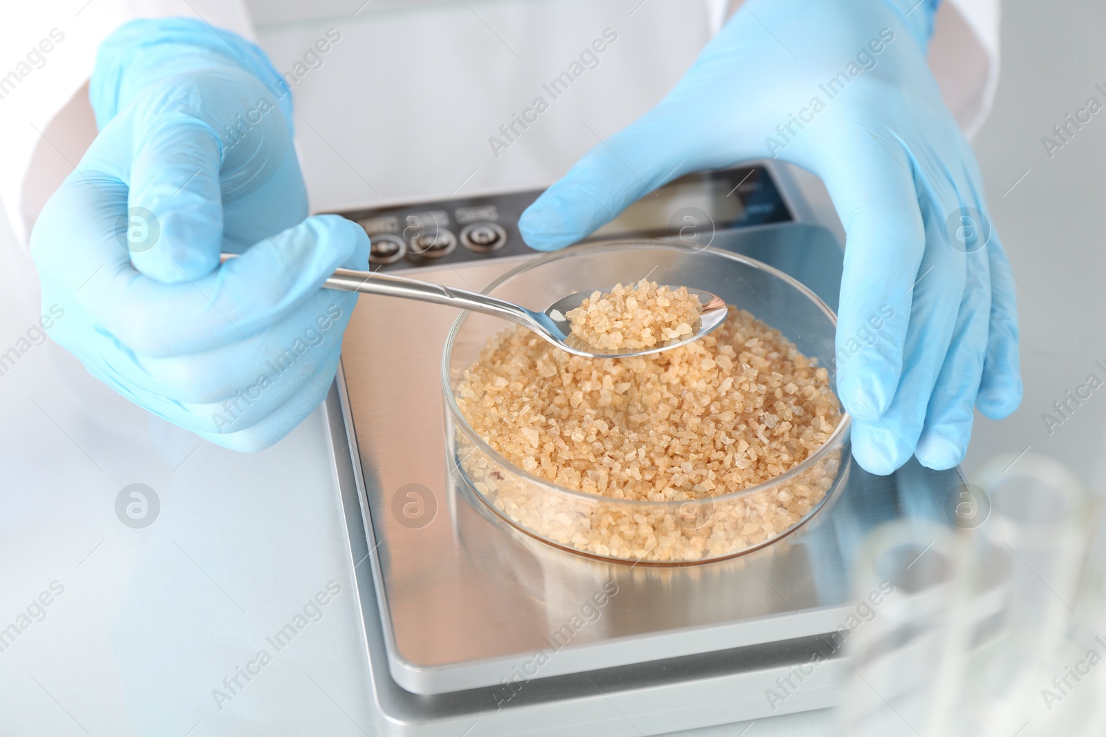 Scientist weighing Petri dish with sample on scales at white mirror table, closeup Photo of Scientist weighing Petri dish with sample on scales at white mirror table, closeup