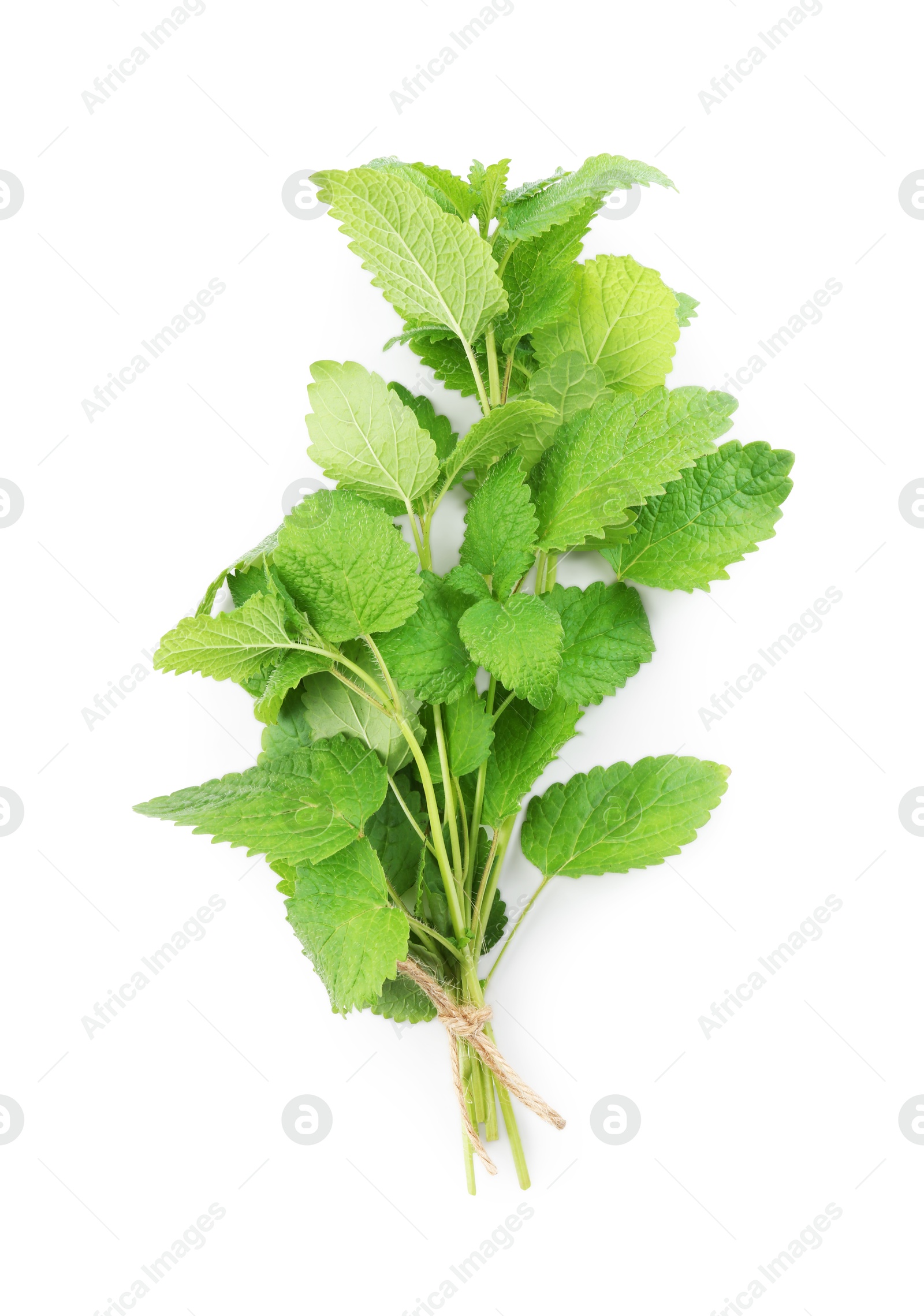 Fresh green lemon balm leaves isolated on white, top view Photo of Fresh green lemon balm leaves isolated on white, top view