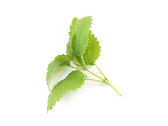Photo of Fresh green lemon balm leaves isolated on white, top view