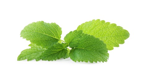 Photo of Fresh green lemon balm leaves isolated on white