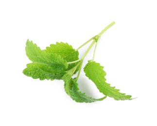 Photo of Fresh green lemon balm leaves isolated on white, top view