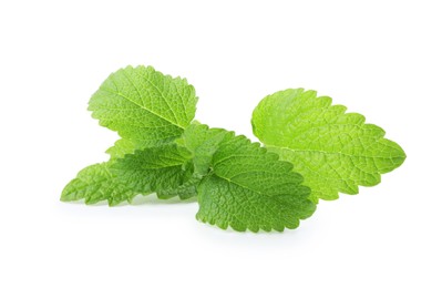 Photo of Fresh green lemon balm leaves isolated on white