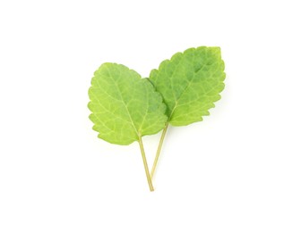 Photo of Fresh green lemon balm leaves isolated on white, top view