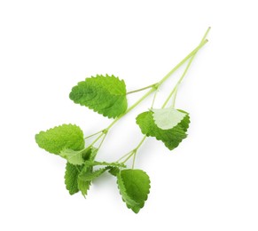 Photo of Fresh green lemon balm leaves isolated on white, top view
