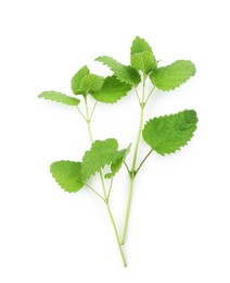 Photo of Fresh green lemon balm leaves isolated on white, top view