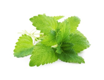 Photo of Fresh green lemon balm leaves isolated on white