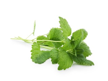 Photo of Fresh green lemon balm leaves isolated on white