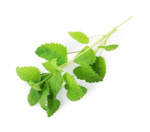 Photo of Fresh green lemon balm leaves isolated on white, top view