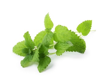 Photo of Fresh green lemon balm leaves isolated on white