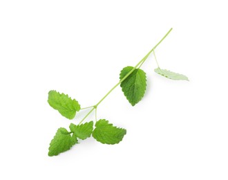 Photo of Fresh green lemon balm leaves isolated on white, top view