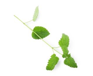 Photo of Fresh green lemon balm leaves isolated on white, top view