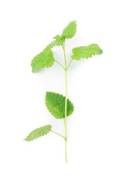 Photo of Fresh green lemon balm leaves isolated on white, top view