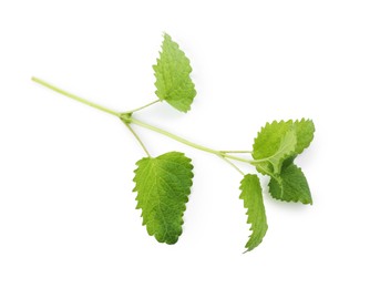 Photo of Fresh green lemon balm leaves isolated on white, top view