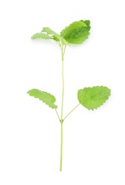 Photo of Fresh green lemon balm leaves isolated on white, top view