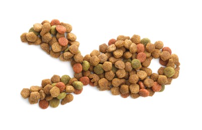 Photo of Fish shape made of dry pet food isolated on white, top view