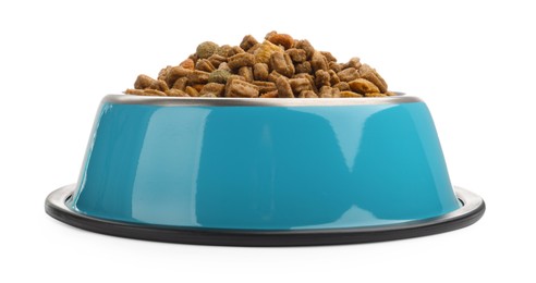 Photo of Dry pet food in feeding bowl isolated on white