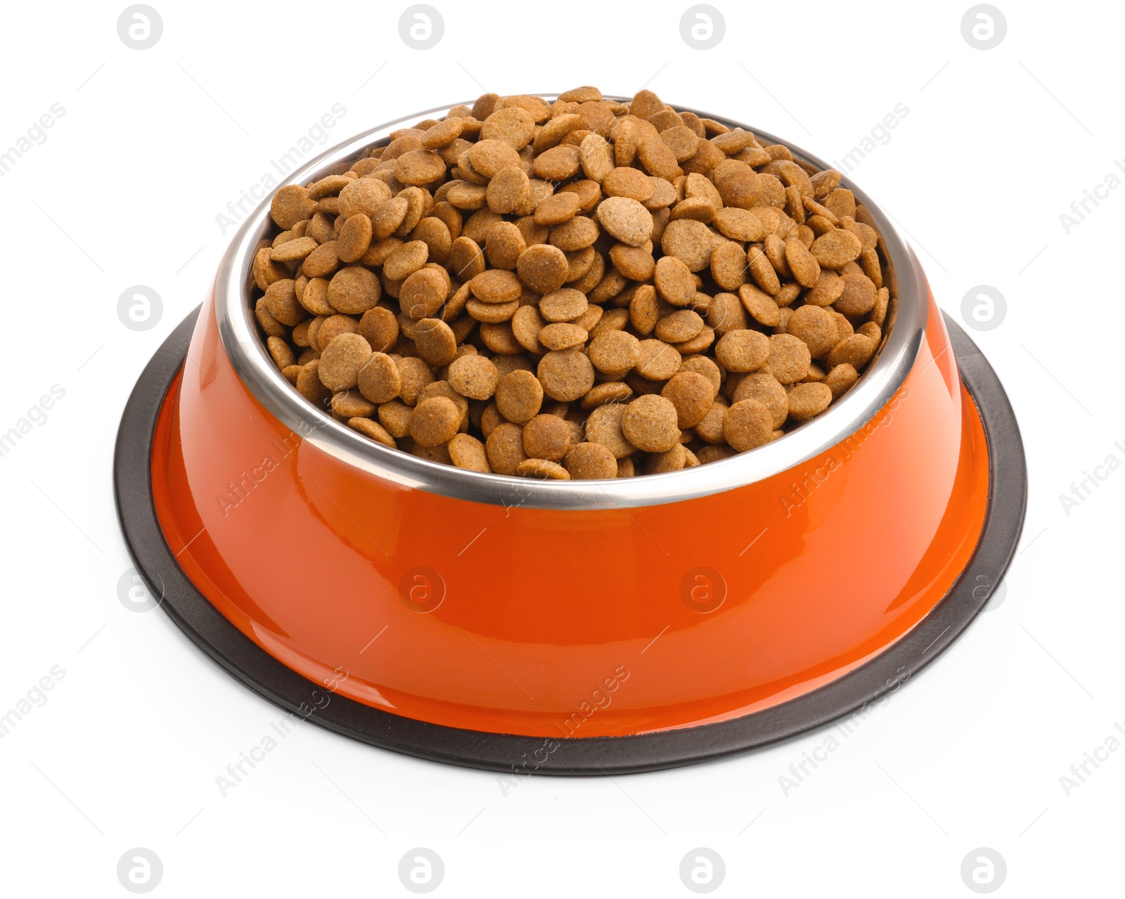 Dry pet food in feeding bowl isolated on white Photo of Dry pet food in feeding bowl isolated on white