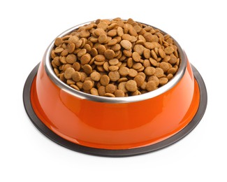Photo of Dry pet food in feeding bowl isolated on white